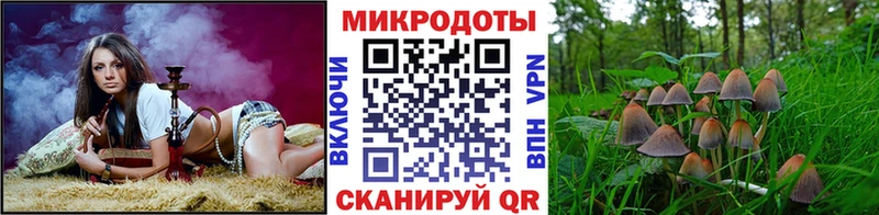 Галлюциногенные грибы прущие грибы  Сарапул 