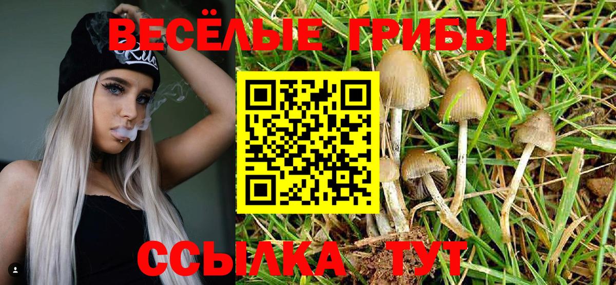 Сарапул  Псилоцибиновые грибы Psilocybine cubensis  Вход с VPN  закладки  Галлюциногенные грибы MAGIC MUSHROOMS 